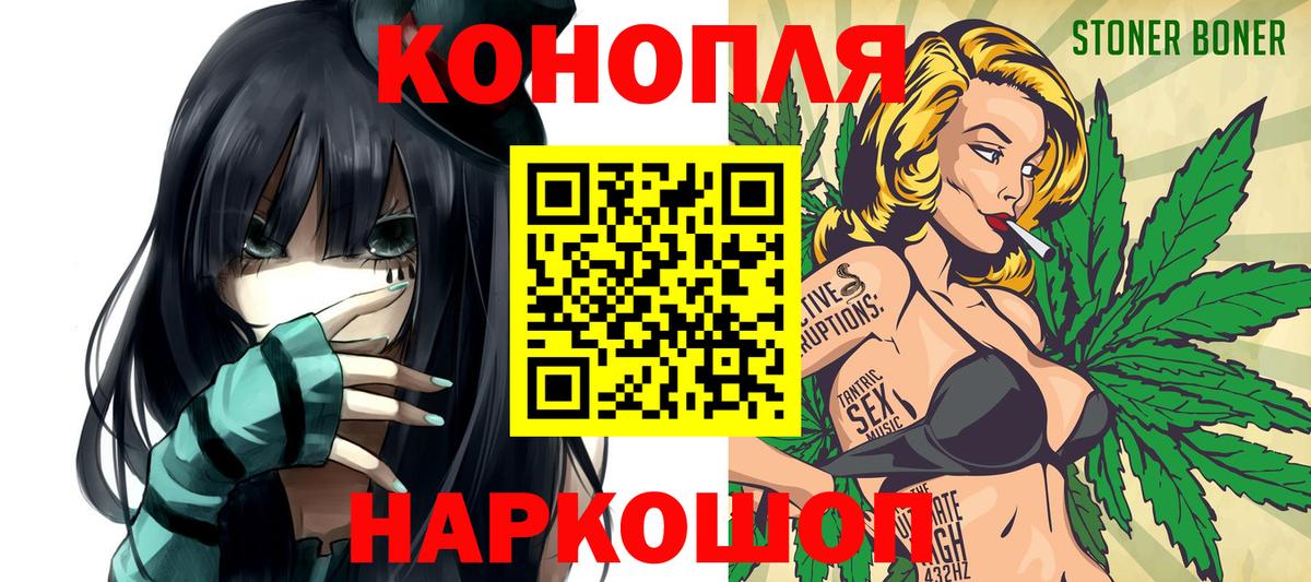 Конопля сатива Ухта